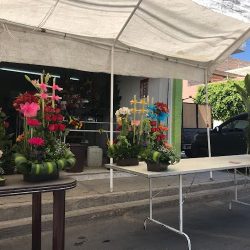 Floreria Titi’s
