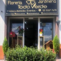 Floreria Todo Verde