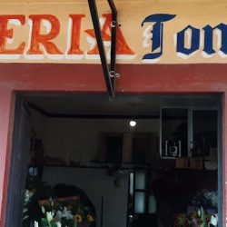 FlorerÍa Tonantzi