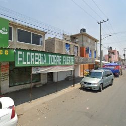Floreria Torre Fuerte