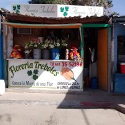 Floreria Tréboles