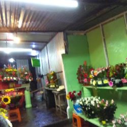 Floreria Triunfo De Dios