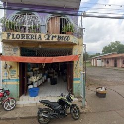 Floreria Trma