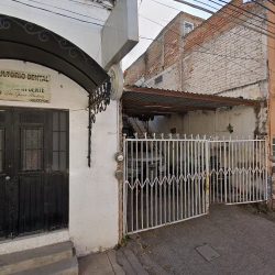 Florería Tulipan