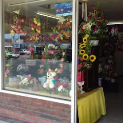 Florería Tulipán