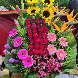 Florería Tulipan