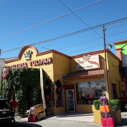 Florería Tulipán