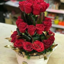 Floreria Tulipan