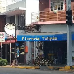Floreria Tulipan