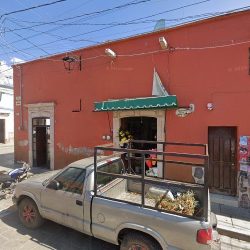 Florería Tulipán
