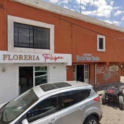 Florería Tulipán