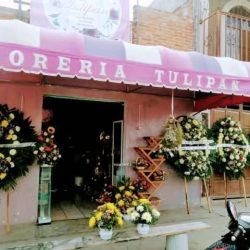Floreria Tulipan