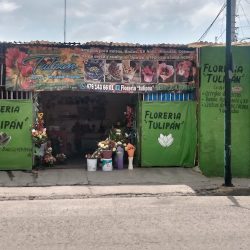 Florería Tulipán