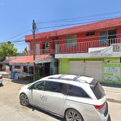Floreria Tulipan