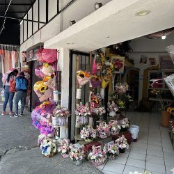 Florería TulipÁn Dorado