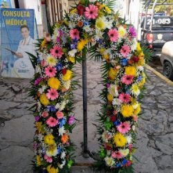 Florería Tulipanes