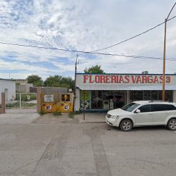 Florería Tulipanes