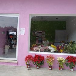 Florería Tutina