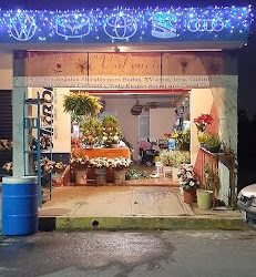 Floreria Valencia Ii