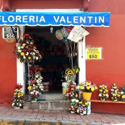 Florería "valentín"