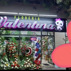 Florería Valentina