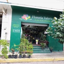 Floreria Valeria