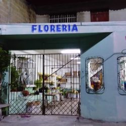 Florería Valeria