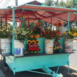 Florería Vane