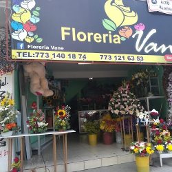 Floreria Vane