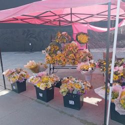 Florería Vaneed