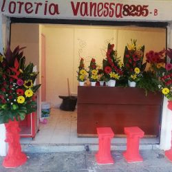 Florería Vanessa