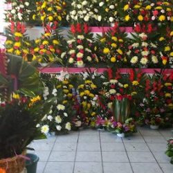 Floreria Vargas 2