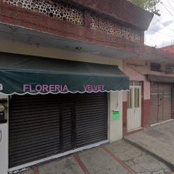 Floreria Velvet