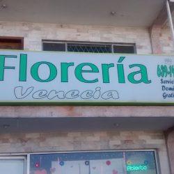 Floreria Venecia
