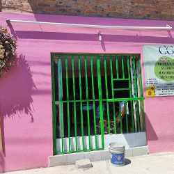 Floreria Venko Bodega De Flores Mayoreo Y Menudeo