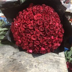 Florería Venturita