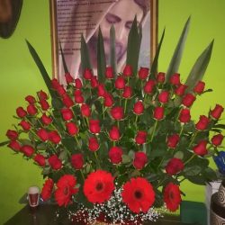 Floreria Vero