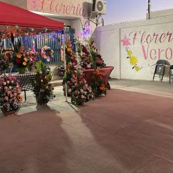 🌸floreria Vero’s🌸
