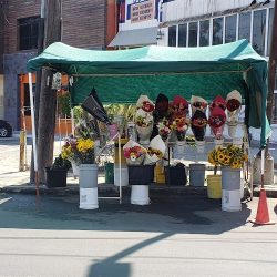 Florería Vi Flor