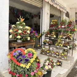 Florería Vianey
