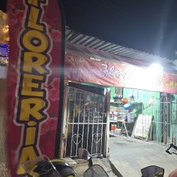 Florería Vianney