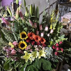 Floreria Villaflor