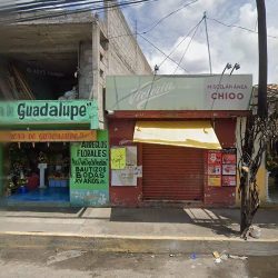Florería Villanueva
