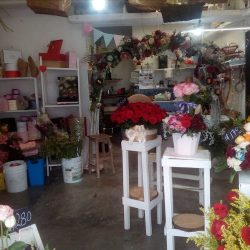 Floreria Vintage