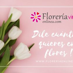 Floreria Vintage