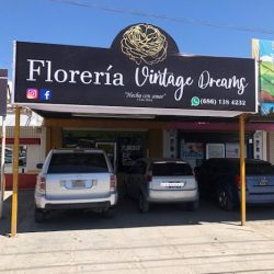 Florería Vintage Dreams