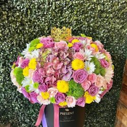 Floreria Violeta