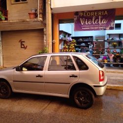 Florería Violeta