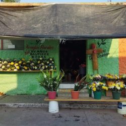 Floreria Virgen Del Rosario