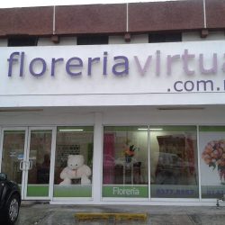 Floreria Virtual
